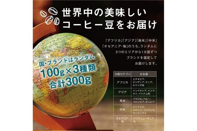 焙煎士お任せ100g×3種類セット[豆のまま]  受注自家焙煎 珈琲豆 コーヒー豆 272183_BG07