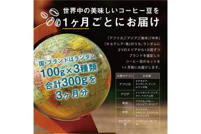 【３か月定期便】 焙煎士お任せ100g×3種類セット[豆のまま] 受注自家焙煎 珈琲豆 コーヒー豆 272183_BG08