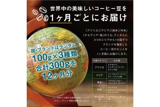 【12か月定期便】 焙煎士お任せ100g×3種類セット[豆のまま] 受注自家焙煎 珈琲豆 コーヒー豆 272183_BG10