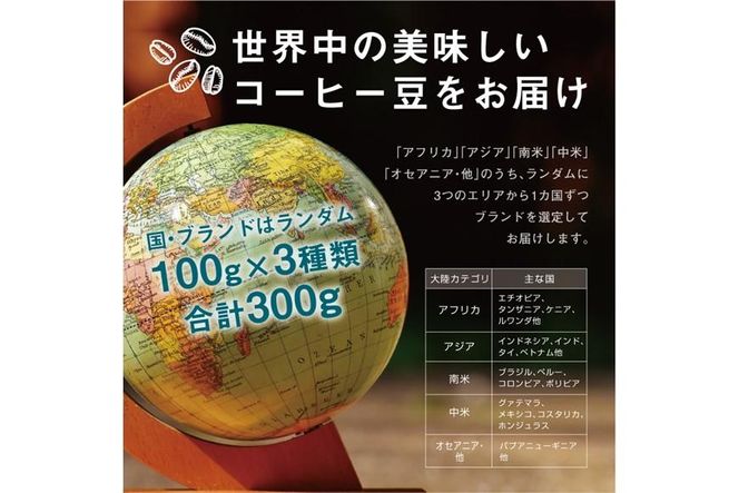 焙煎士お任せ100g×3種類セット[粉]  受注自家焙煎 珈琲粉 コーヒー粉 272183_BG11