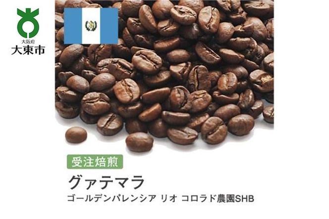 y{哌sz[]#80 I310g OAe} S[fpVA I Rh_SHB 蓤 R[q[  272183_BG209