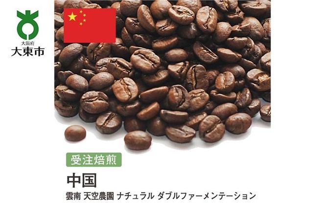 y{哌sz[]#115 I310g _ V_ i` _ut@[e[V 蓤 R[q[  272183_BG239