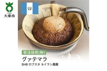 [粉]#159 受注焙煎！310g グアテマラ SHB ロブスタ セイラン農園 珈琲粉 コーヒー粉 自家焙煎 272183_BG289