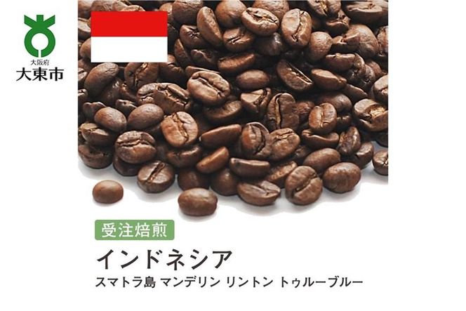 y{哌sz[]#140 I310g ChlVA TRUE BLUE X}g }f g AGE of NOVO SC19 21-22 蓤 R[q[  272183_BG302