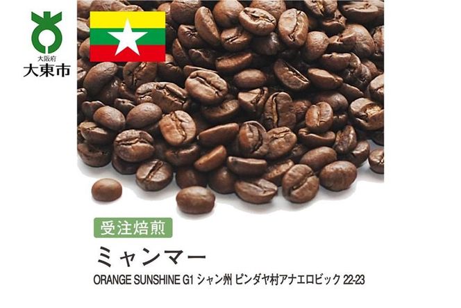 y{哌sz[]#180 I310g ~}[ ORANGE SUNSHINEG1 VB s_AiGrbN 22-23 蓤 R[q[  272183_BG347