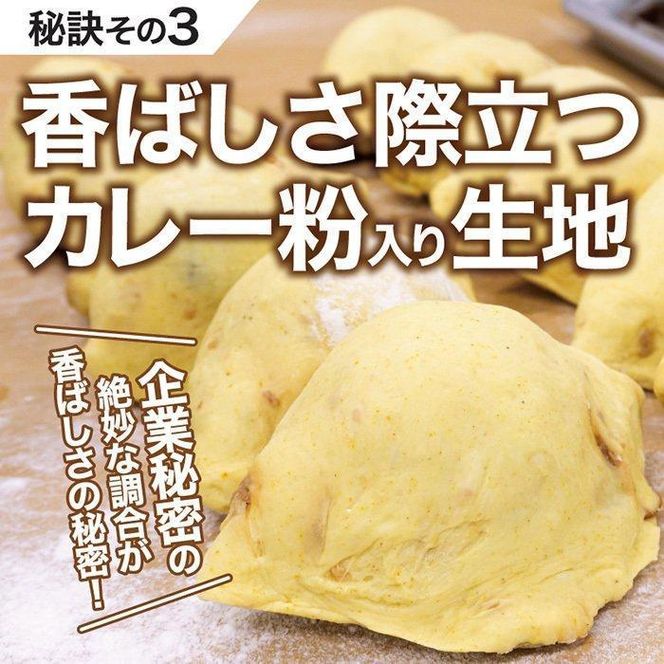 【3か月定期便】カレーパン 6個 牛肉 ゴロゴロ グランプリ 金賞受賞 272183_BG361