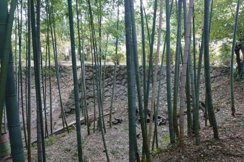 【2026年発送】＜30セット限定＞朝堀り！新鮮！「寺川城の越たけのこ」1kg 272183_CM02