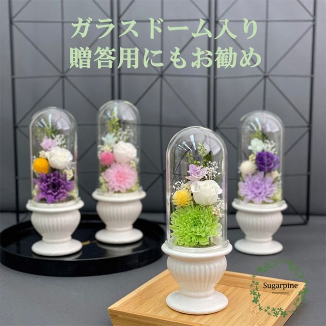 yʌtszAJ125-1  vU[uht[@aԁ@