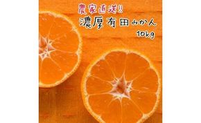 厳選！濃厚有田みかん10kg(2S～Lサイズ)【先行予約】   AO009