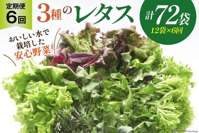 【6回定期便】富山のおいしい水で生産した安心野菜（12袋）[北陸機材 富山県 舟橋村 57050148] 野菜 野菜セット フラワーリーフ フリルレタス マルチレタス 水耕栽培 定期便