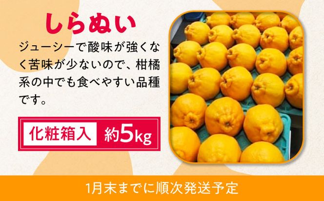 【4回定期便】【2026年7月初回発送】柑橘 4種類 定期便 / ハウスみかん 温室天草 しらぬい せとか 果物 フルーツ / 南島原市 /JA島原雲仙東南部基幹センター[SAC005]