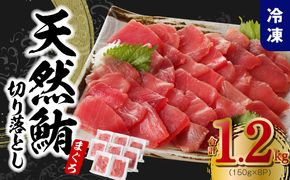 015B569 【家計応援】天然まぐろ 切り落とし 合計 1.2kg 小分け 150g×8P【訳あり サイズ不揃い 刺身 海鮮丼 鮪 まぐろ マグロ ユッケ 海鮮 ネギトロ 小分け ファミリー向け】