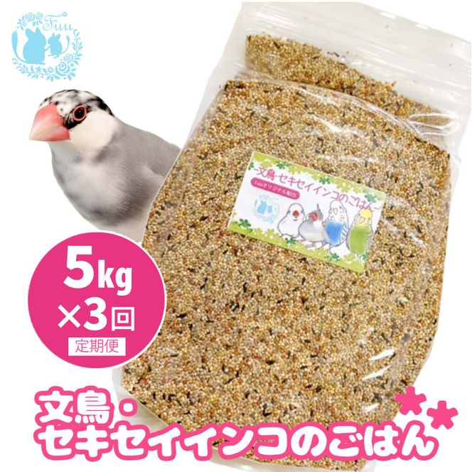 ymqszy3ցzfuu EZLZCCR̂͂i5kgjm145S47-Tny3ցzfuu EZLZCCR̂͂ CR  GT ybgpi  V[h IWiz