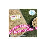 【3ヶ月定期便】fuu オカメインコのごはん（5kg）［145S53-T］【3ヶ月定期便】fuu オカメインコのごはん インコ 小鳥 エサ ペット用品 複数種 シード オリジナル配合 5kg 