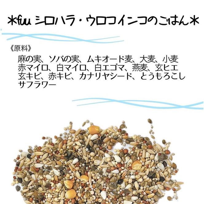【3ヶ月定期便】fuu シロハラインコ・ウロコインコのごはん（5kg）［145S59-T］【3ヶ月定期便】fuu シロハラインコ・ウロコインコのごはん インコ 小鳥 エサ ペット用品 複数種 シード 