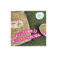 【3ヶ月定期便】fuu ラブバードのごはん（800g）［145S63-T］【3ヶ月定期便】fuu ラブバードのごはん インコ 小鳥 エサ ペット用品 複数種 シード オリジナル配合 800g 