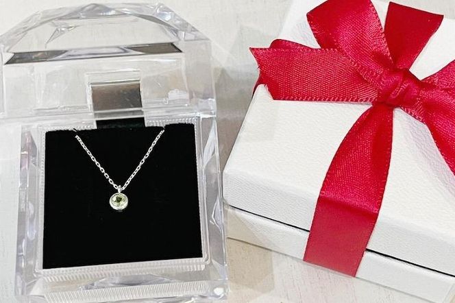 【プレゼント包装付き】誕生石ペンダント（シルバー）チェーン40cm 232238_WW030-PR