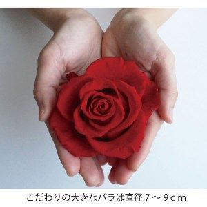 プリザーブドフラワー　大きなバラの幅40cmアレンジ