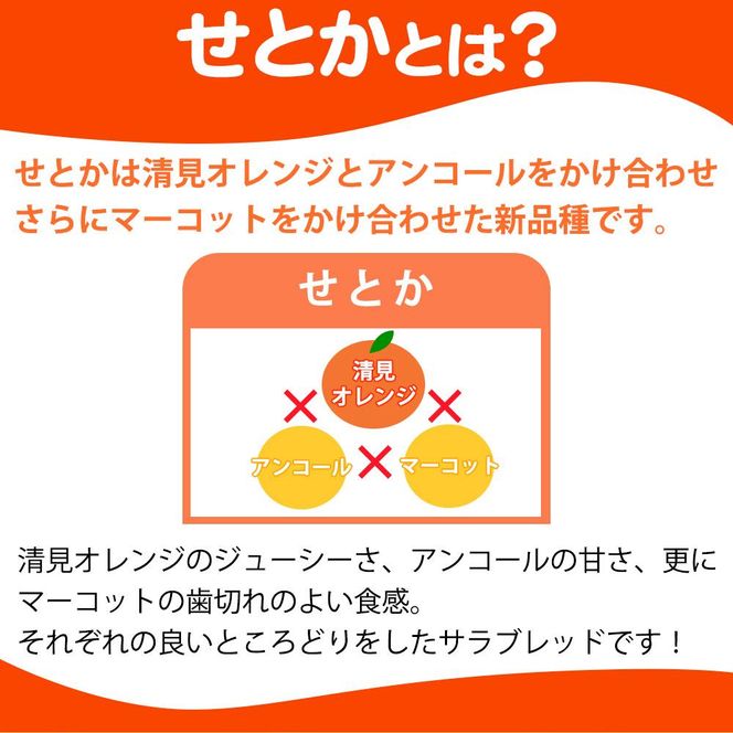 紀州有田産せとか約5kg ［ご家庭用］とろける食感！ジューシー柑橘［2027年2月中旬以降発送］［先行予約］［UT90］ 303446_XF91147