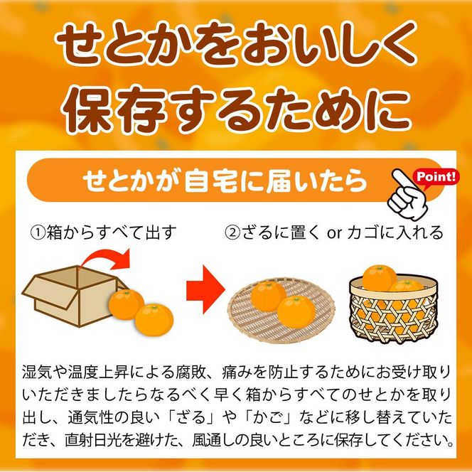 紀州有田産せとか約5kg ［ご家庭用］とろける食感！ジューシー柑橘［2027年2月中旬以降発送］［先行予約］［UT90］ 303446_XF91147