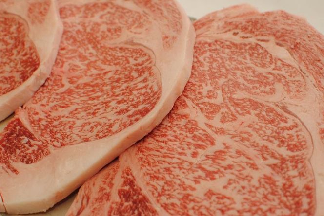 ya̎R쒬zY јa F싍  [X Xe[L 300×2 ӂ邳Ɣ[   Y ē o[xL[ BBQ Lv  O a̎R   Ε  yiSe4z 303446_DM90004