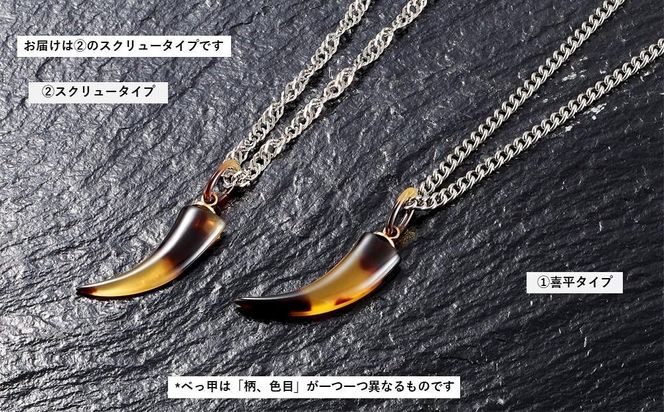 y{哌sz102405-R `^{ׂbuvy_g  XN[^Cv 272183_AF131