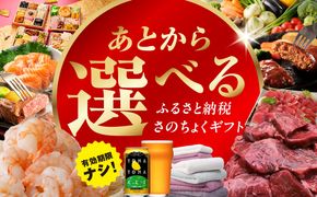 あとから選べる！さのちょくギフト【大阪府泉佐野市】約2,800品掲載 あとからセレクト 肉 ビール 酒 かに サーモン 米 野菜 定期便 魚介 海産物 おせち うなぎ 日用品 タオル など以上掲載　あとからセレクト