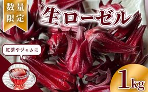 【先行受付】生ローゼル約１キロ【数量限定】