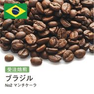 コーヒー豆 #188 ブラジルNo2 マンチケーラ 受注焙煎！310g 珈琲豆 コーヒー豆 自家焙煎 272183_BG374