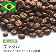 コーヒー豆 #214 ブラジル ブルボンアマレロアルコイリス農園 受注焙煎！310g 珈琲豆 コーヒー豆 自家焙煎 272183_BG380