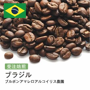 コーヒー豆 #214 ブラジル ブルボンアマレロアルコイリス農園 受注焙煎！310g 珈琲豆 コーヒー豆 自家焙煎 272183_BG380