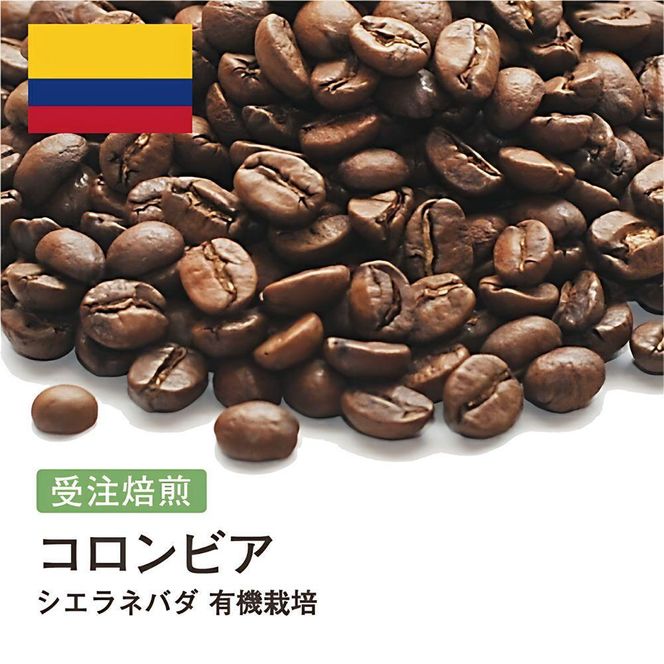 コーヒー豆 #227 コロンビア シエラネバダ 有機栽培 受注焙煎！310g 珈琲豆  自家焙煎 272183_BG386