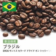 コーヒー豆 #241 ブラジル EROS サントス セラード ドライド オン トゥリー 受注焙煎！310g 珈琲豆  自家焙煎 272183_BG388