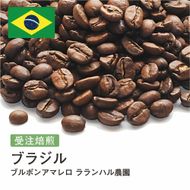 コーヒー豆 #242 ブラジル ブルボンアマレロ ラランハル農園 受注焙煎！310g 珈琲豆  自家焙煎 272183_BG389