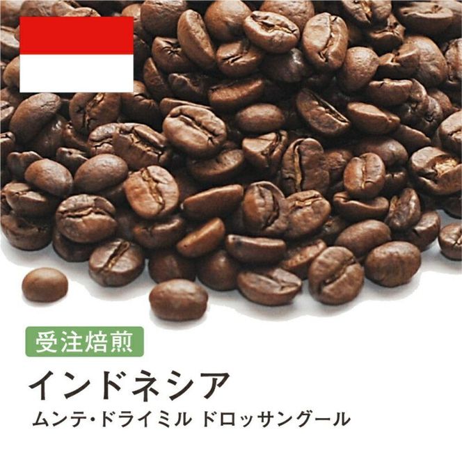 コーヒー豆 #247 インドネシア ムンテ・ドライミル ドロッサングール 受注焙煎！310g 珈琲豆  自家焙煎 272183_BG392