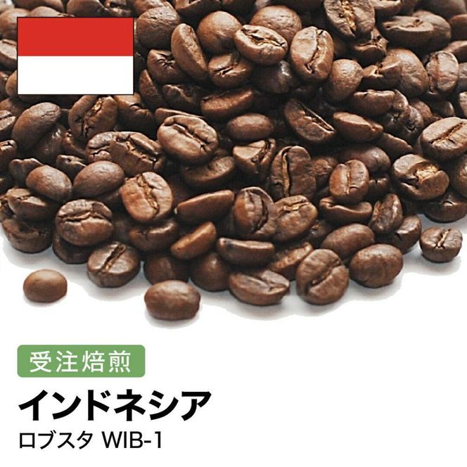 コーヒー豆 #258 インドネシア ロブスタ WIB-1 受注焙煎！310g 珈琲豆  自家焙煎 272183_BG396