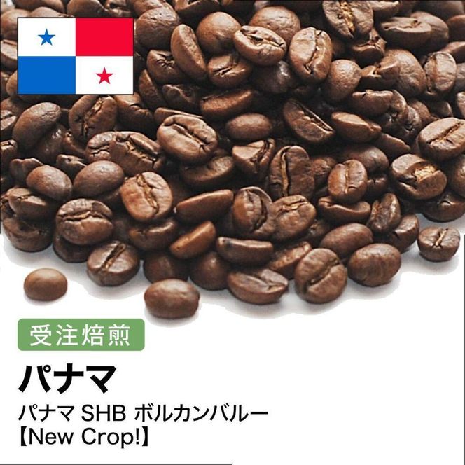 y{哌szR[q[ #267 pi}SHB {Jo[ I310g 蓤   272183_BG404