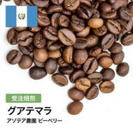 コーヒー豆 #285 グアテマラ アゾテア農園 ピーベリー 受注焙煎！310g 珈琲豆  自家焙煎 272183_BG411