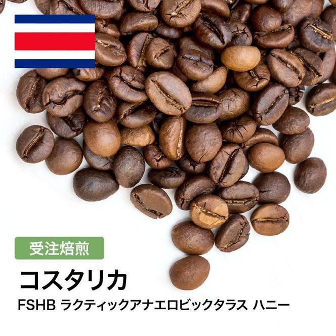 コーヒー豆 #306 コスタリカ FSHB ラクティックアナエロビックタラス ハニー 受注焙煎！310g 珈琲豆  自家焙煎 272183_BG421