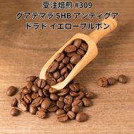 コーヒー豆 #309 グアテマラ SHB アンティグア ドラド イエローブルボン 受注焙煎！310g 珈琲豆  自家焙煎 272183_BG424