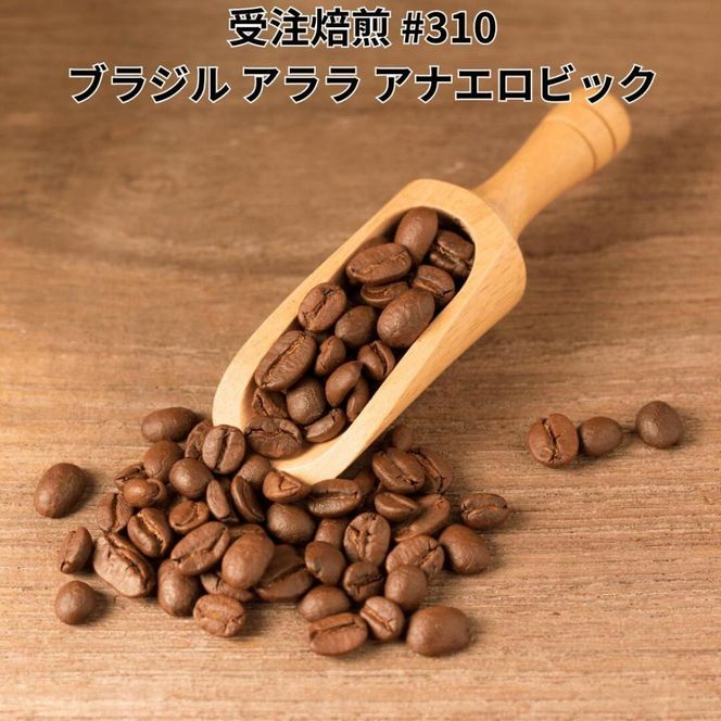 y{哌szR[q[ #310 uW TR[q[ A AiGrbN I310g 蓤   272183_BG425