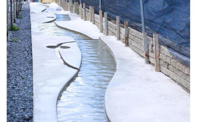 旬のぶどうを食べ放題 ぶどう狩り体験チケット 2名様分 232238_CW001