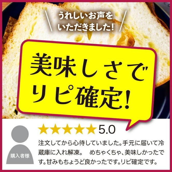 金賞カレーパンとミルフィーユ食パンが必ず入る19個のパンセット 食パン 菓子パン 惣菜パン等 冷凍パン 詰め合わせ 福袋 272183_BG364