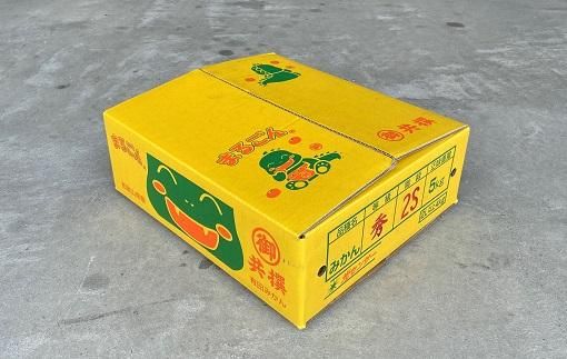 有田みかん 5kg 2Sサイズ 光センサー使用 高糖度    CM01