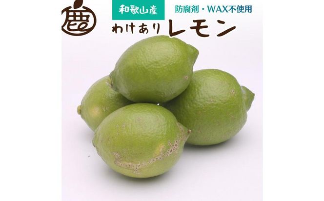 ＜9月より発送＞家庭用 黒潮レモン4kg+120g（傷み補償分）【和歌山有田産】【防腐剤・WAX不使用、安心の国産レモン】【わけあり・訳ありレモン】 303446_BB002