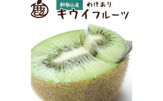 ＜11月より発送＞家庭用 キウイフルーツ2.5kg+75g（傷み補償分）【わけあり・訳あり・扁平果】 303446_BB005