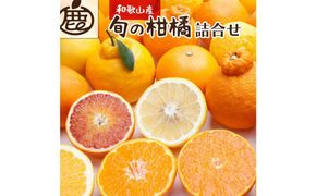 ＜1月より発送＞厳選 柑橘詰合せ3kg+90g（傷み補償分）【有田の春みかん詰め合わせ・フルーツ詰め合せ・オレンジつめあわせ】【光センサー選別】 303446_BB006