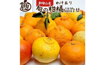 ＜1月より発送＞家庭用 柑橘詰合せ5kg+150g（傷み補償分）【訳あり・わけあり】【有田の春みかん詰め合わせ・フルーツ詰め合せ・オレンジつめあわせ】【光センサー選別】 303446_BB007