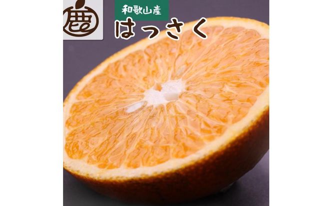 ＜1月より発送＞厳選 はっさく5.5kg+165g（傷み補償分）【八朔みかん・ハッサク】 303446_BB008