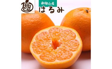 ＜2月より発送＞厳選 はるみ3kg+90g（傷み補償分）【デコポンの姉妹品種・新食感春みかん】【光センサー選別】 303446_BB009